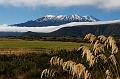 2007 04 21 Tongariro NP 002_DXO